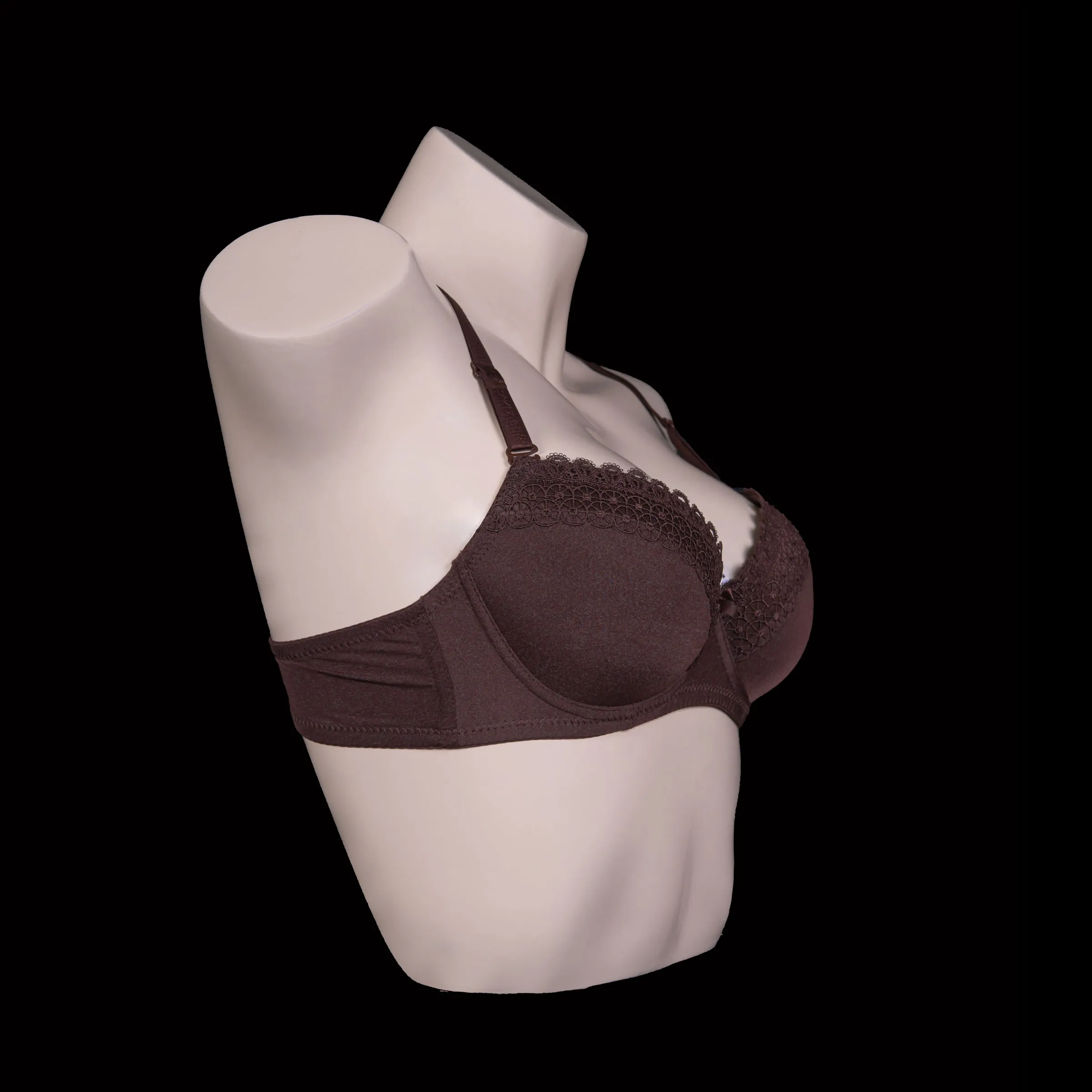 Padded Wired Floral Lace Cups Bra