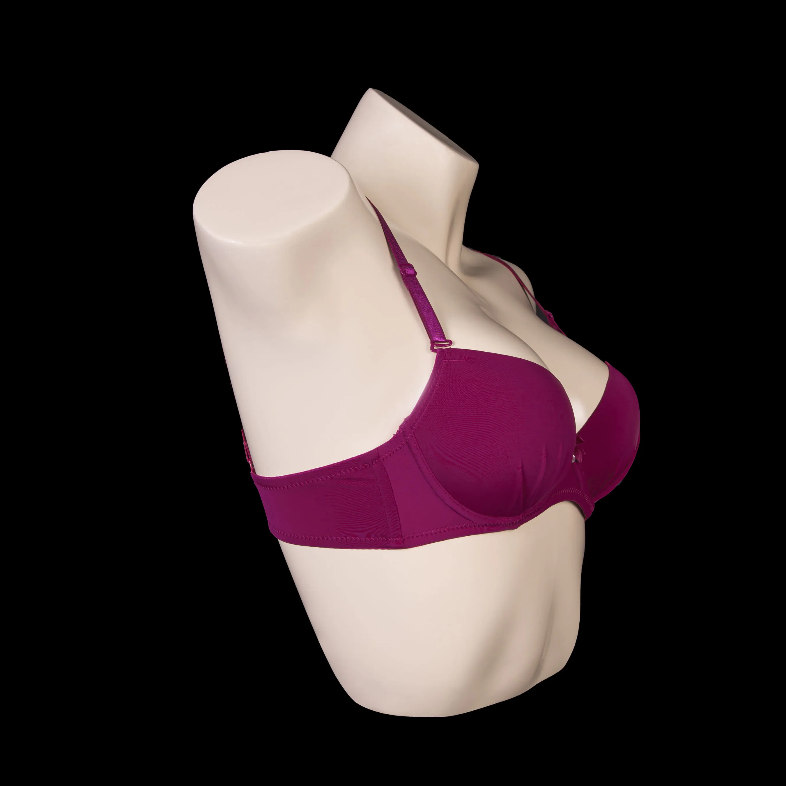 Plunge Curve Wired Padded Bra