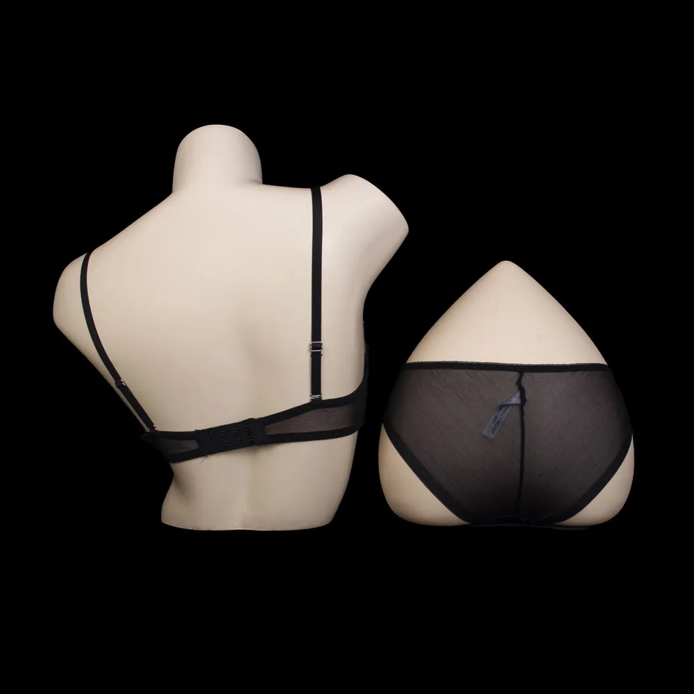 Wired Padded Bra Set