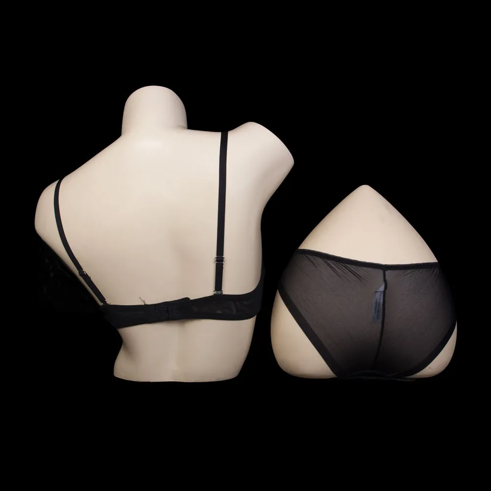 Wired Padded Bra Set