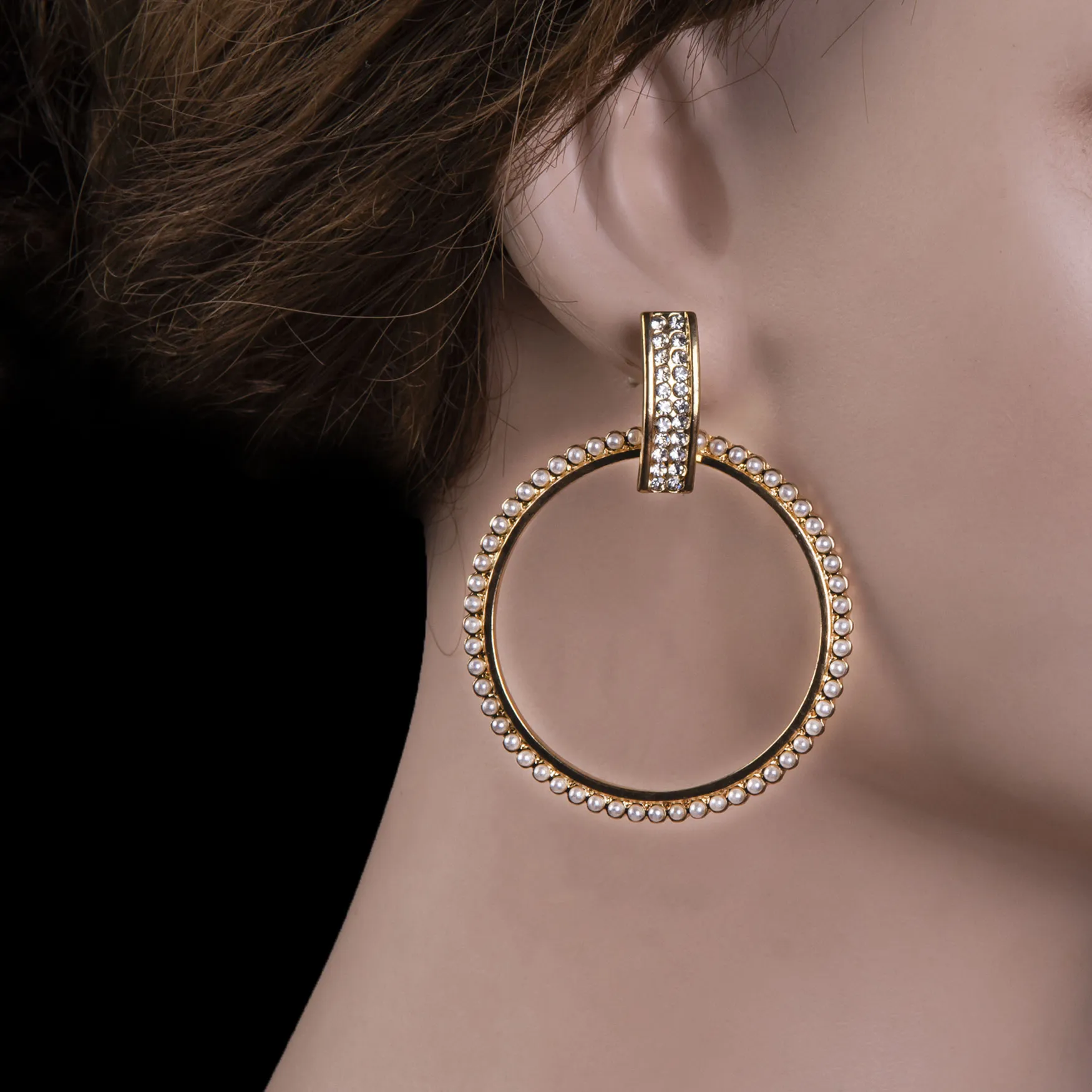 Long Circle Crystal Drop Hoop Earring