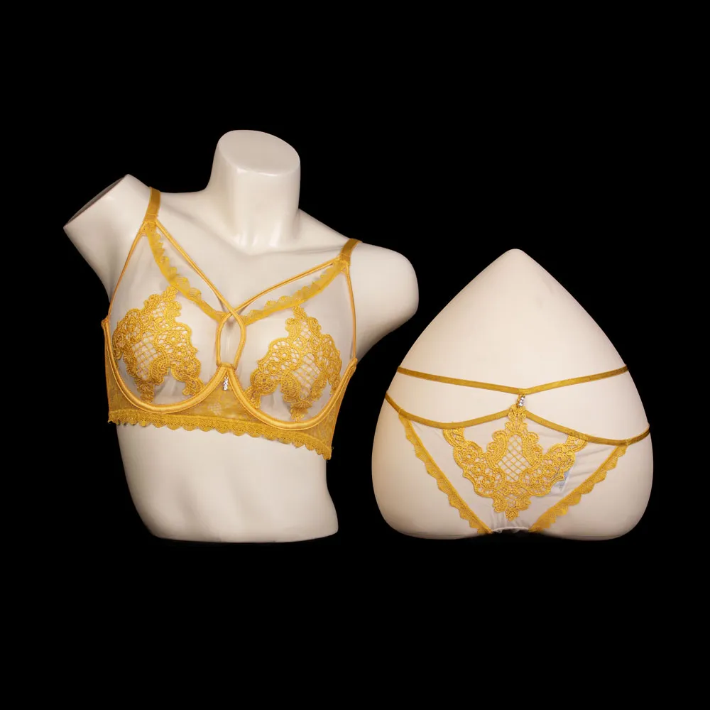 Transparent Lace Bra Set