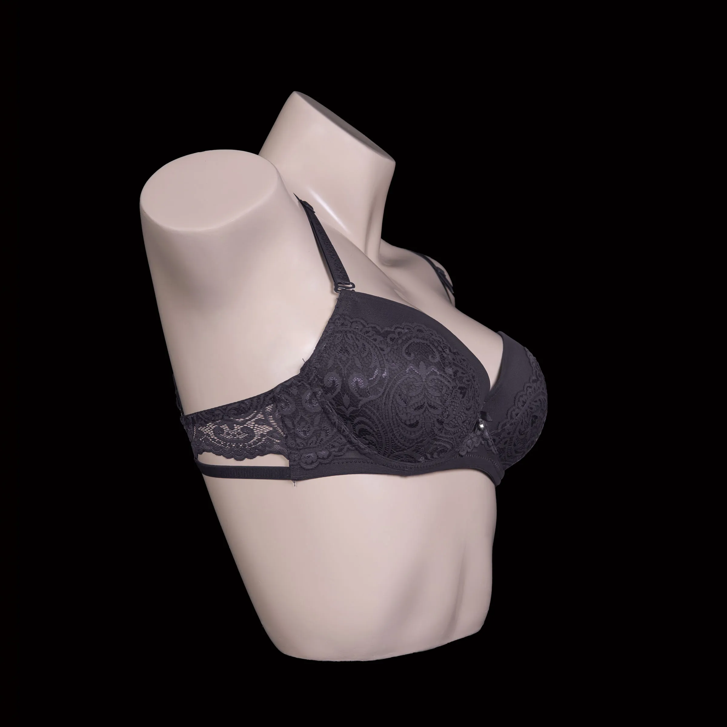 Padded Wired Lace Bra